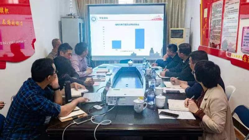 户外拓展活动：项目分类与精彩解析