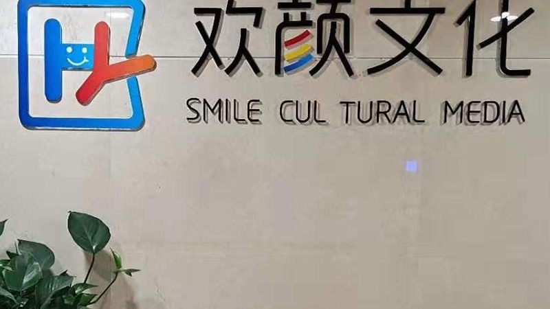 mg动画公司品牌排行榜背后的行业洞察
